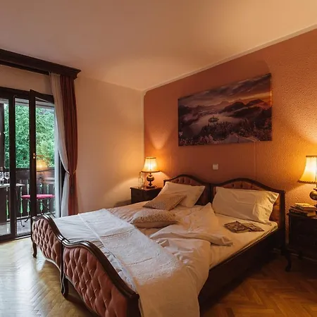 Vila Mojstrovka Πανσιόν Mojstrana